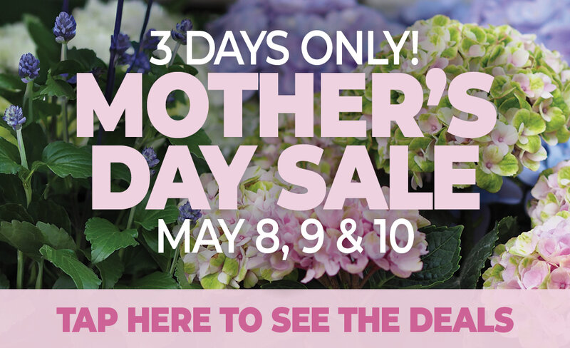 Hometown Days - Mothers Day Event