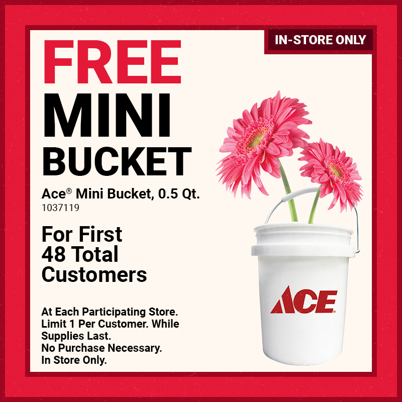 FREE Mini Ace® Mini Bucket, 0.5 Qt.